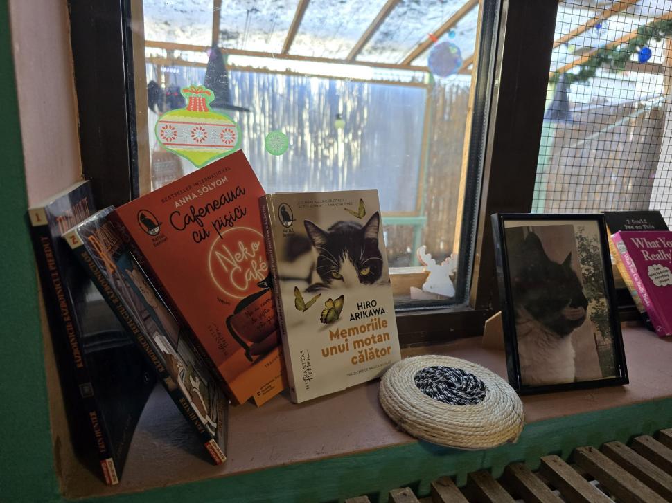 Cafenele neobișnuite din București. Unde îţi bei cafeaua lângă pisici pufoase sau lângă şerpii Megatron şi Olaf şi tarantula Roza 945523