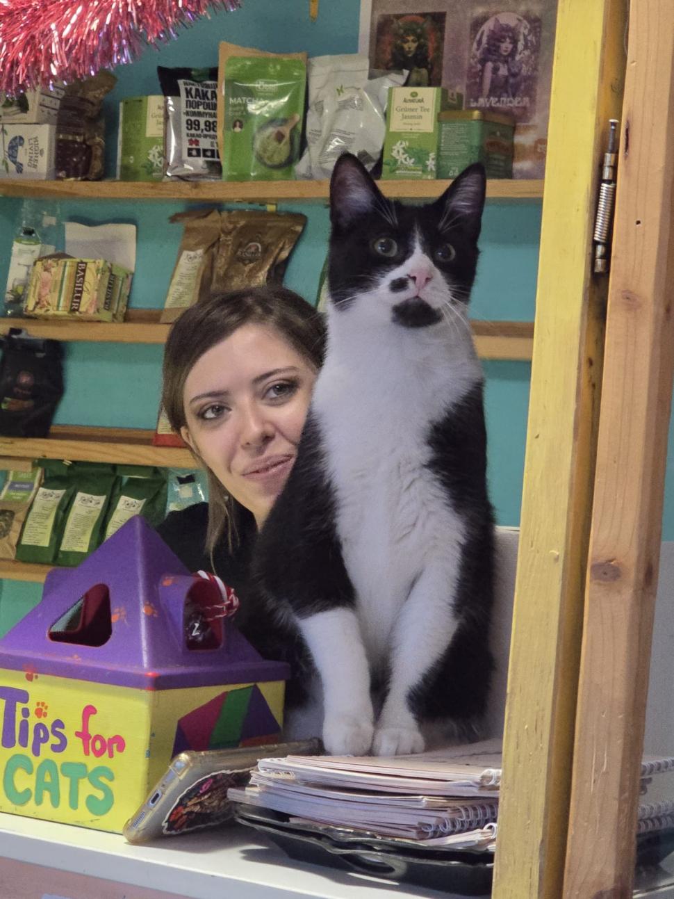 Cafenele neobișnuite din București. Unde îţi bei cafeaua lângă pisici pufoase sau lângă şerpii Megatron şi Olaf şi tarantula Roza 945540