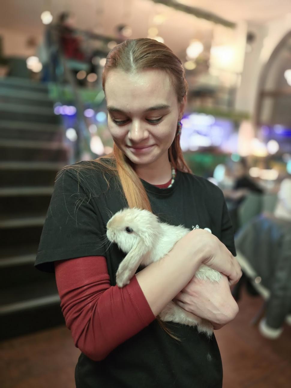 Cafenele neobișnuite din București. Unde îţi bei cafeaua lângă pisici pufoase sau lângă şerpii Megatron şi Olaf şi tarantula Roza 945541