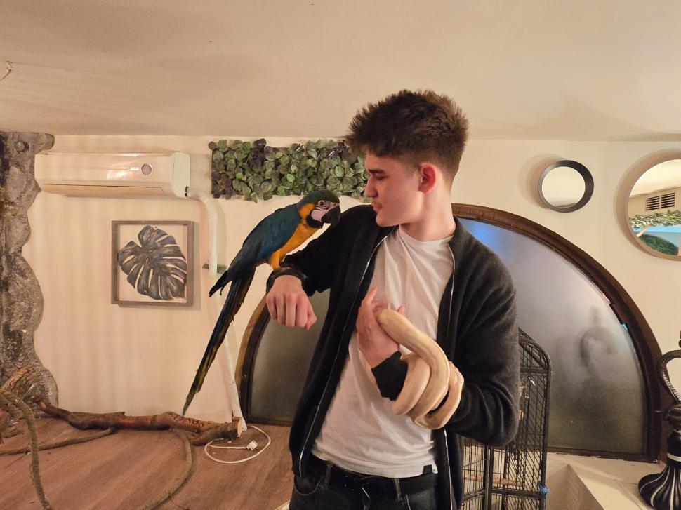 Cafenele neobișnuite din București. Unde îţi bei cafeaua lângă pisici pufoase sau lângă şerpii Megatron şi Olaf şi tarantula Roza 945542