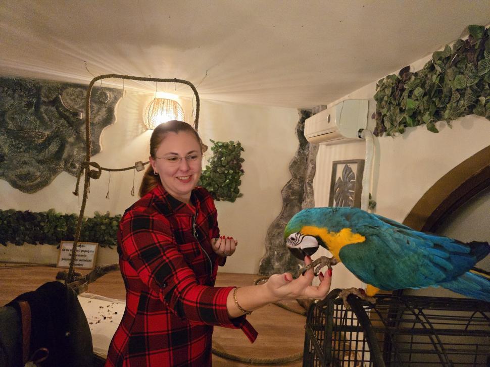 Cafenele neobișnuite din București. Unde îţi bei cafeaua lângă pisici pufoase sau lângă şerpii Megatron şi Olaf şi tarantula Roza 945550