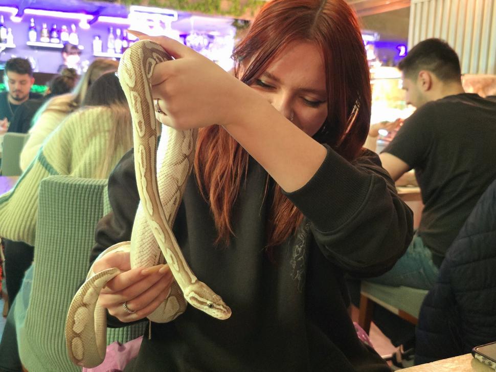 Cafenele neobișnuite din București. Unde îţi bei cafeaua lângă pisici pufoase sau lângă şerpii Megatron şi Olaf şi tarantula Roza 945552