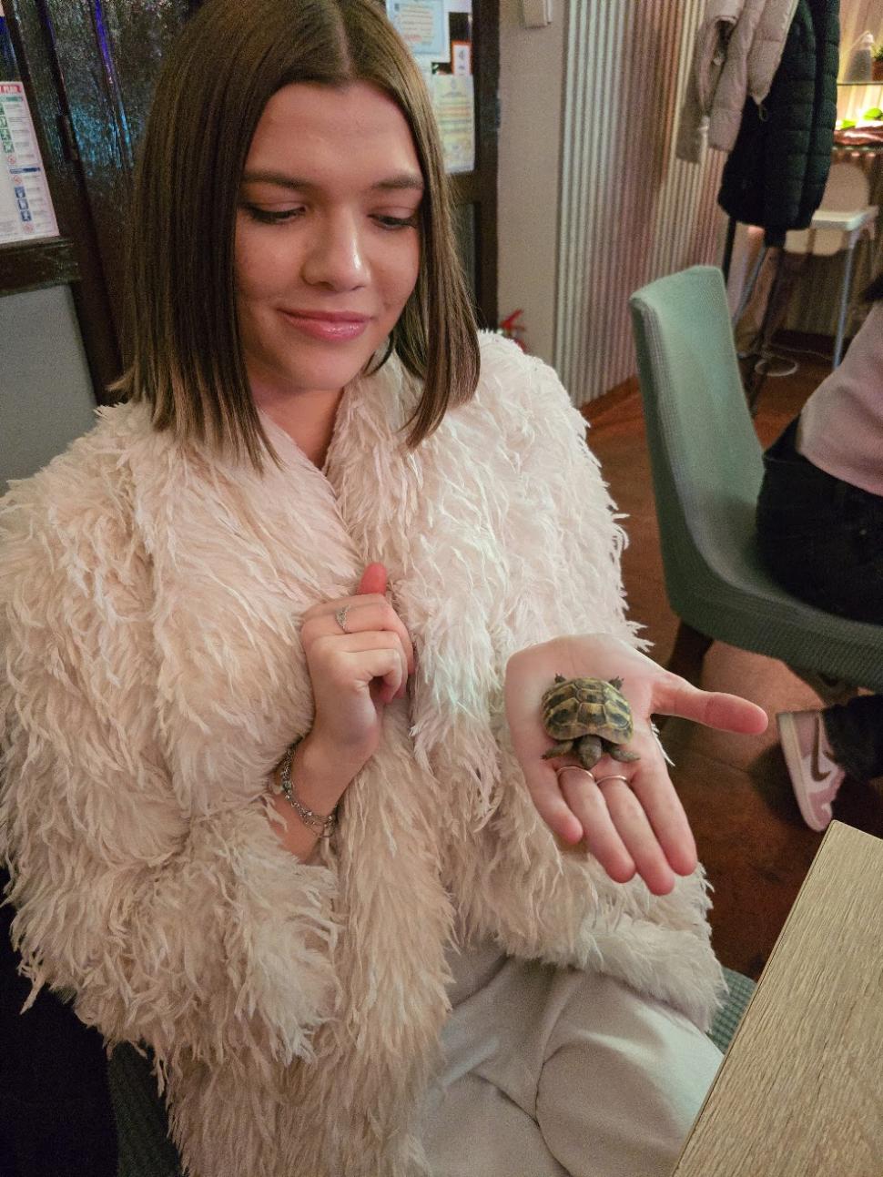 Cafenele neobișnuite din București. Unde îţi bei cafeaua lângă pisici pufoase sau lângă şerpii Megatron şi Olaf şi tarantula Roza 945553