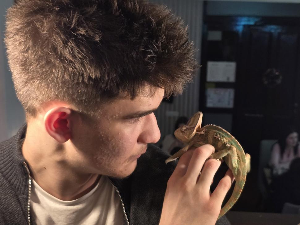 Cafenele neobișnuite din București. Unde îţi bei cafeaua lângă pisici pufoase sau lângă şerpii Megatron şi Olaf şi tarantula Roza 945559