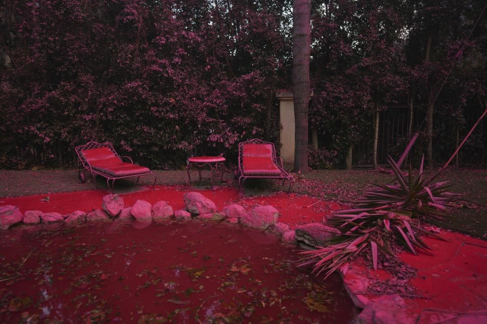 Mașinile, casele și aleile din Los Angeles sunt acum toate roz. Cum se explică imaginile bizare după incendiile devastatoare 946058