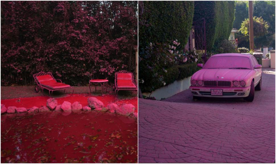 Mașinile, casele și aleile din Los Angeles sunt acum toate roz. Cum se explică imaginile bizare după incendiile devastatoare 946067