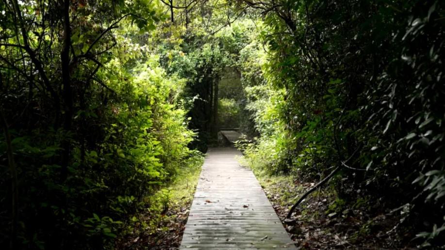 Oamenii se întorc acum într-un sat pe care l-au abandonat în 1960. Povestea fascinantă a așezării vechi de 300 de ani 946140