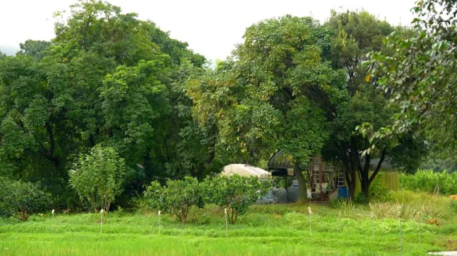 Oamenii se întorc acum într-un sat pe care l-au abandonat în 1960. Povestea fascinantă a așezării vechi de 300 de ani 946142