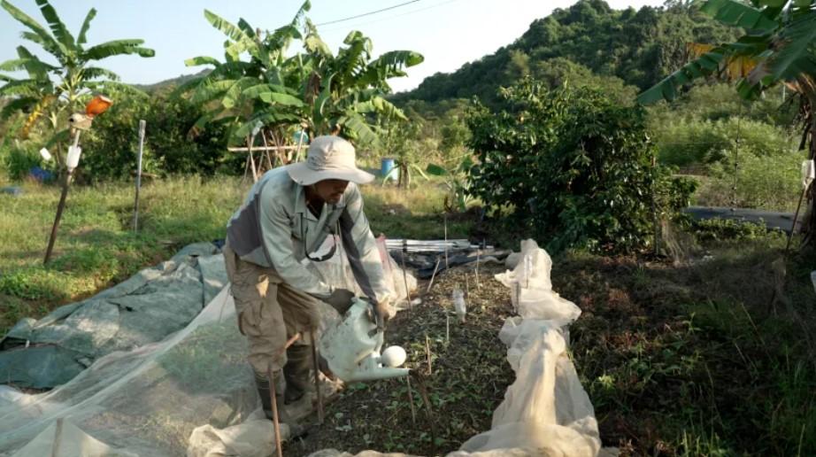 Oamenii se întorc acum într-un sat pe care l-au abandonat în 1960. Povestea fascinantă a așezării vechi de 300 de ani 946143