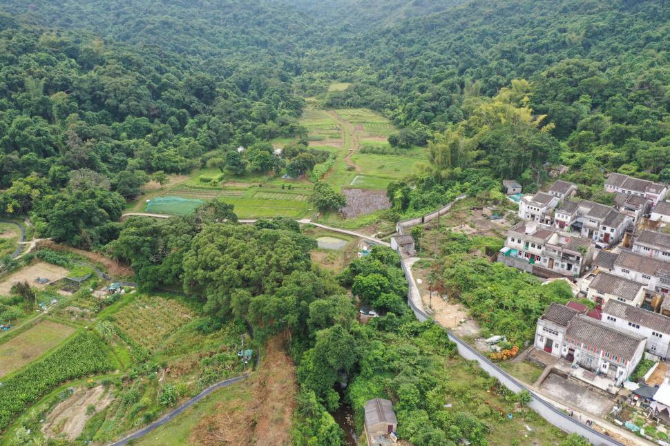 Oamenii se întorc acum într-un sat pe care l-au abandonat în 1960. Povestea fascinantă a așezării vechi de 300 de ani 946149