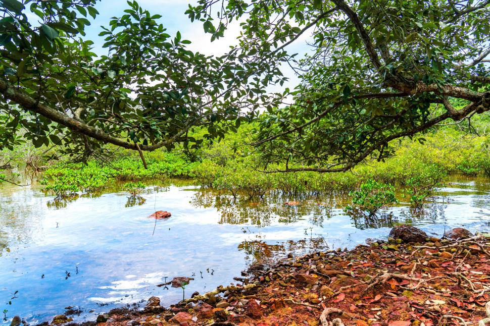 Oamenii se întorc acum într-un sat pe care l-au abandonat în 1960. Povestea fascinantă a așezării vechi de 300 de ani 946151