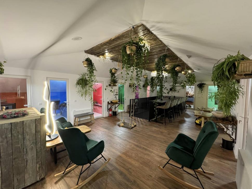 Cafeneaua cu pisici, deschisă de doi veterinari în Botoșani: Cele 10 camere cu peste 100 de „mâțe” salvate au devenit atracția orașului 946344