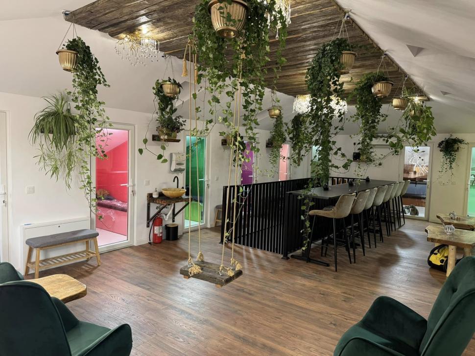 Cafeneaua cu pisici, deschisă de doi veterinari în Botoșani: Cele 10 camere cu peste 100 de „mâțe” salvate au devenit atracția orașului 946345