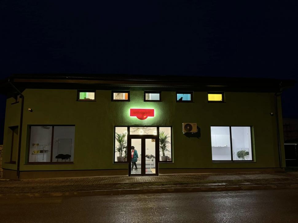 Cafeneaua cu pisici, deschisă de doi veterinari în Botoșani: Cele 10 camere cu peste 100 de „mâțe” salvate au devenit atracția orașului 946349