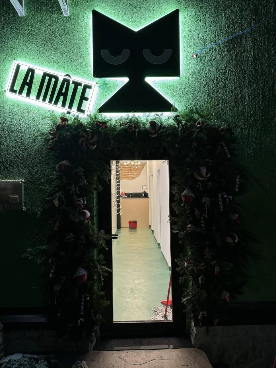 Cafeneaua cu pisici, deschisă de doi veterinari în Botoșani: Cele 10 camere cu peste 100 de „mâțe” salvate au devenit atracția orașului 946350