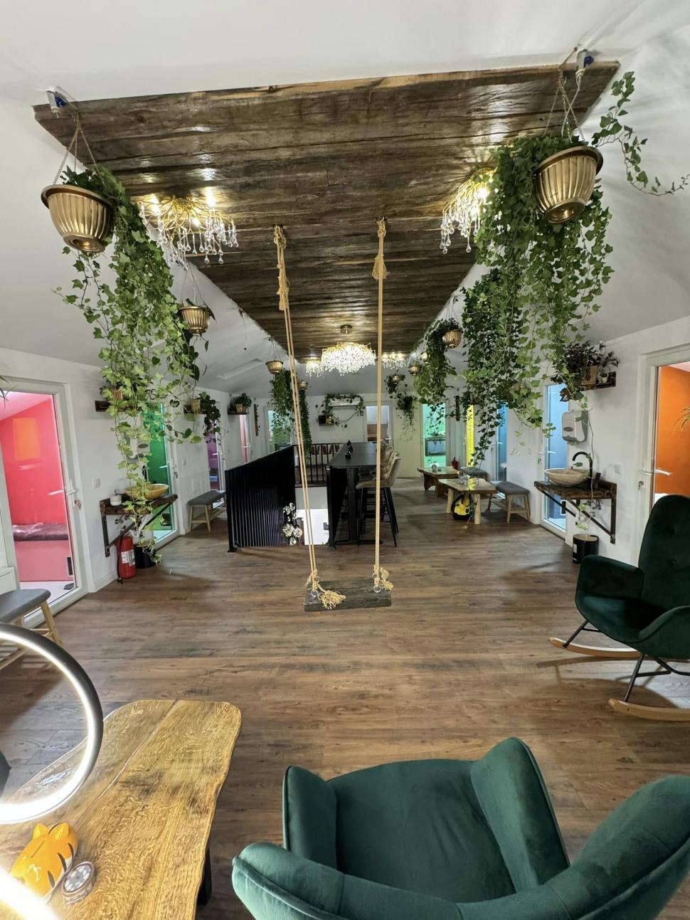 Cafeneaua cu pisici, deschisă de doi veterinari în Botoșani: Cele 10 camere cu peste 100 de „mâțe” salvate au devenit atracția orașului 946362