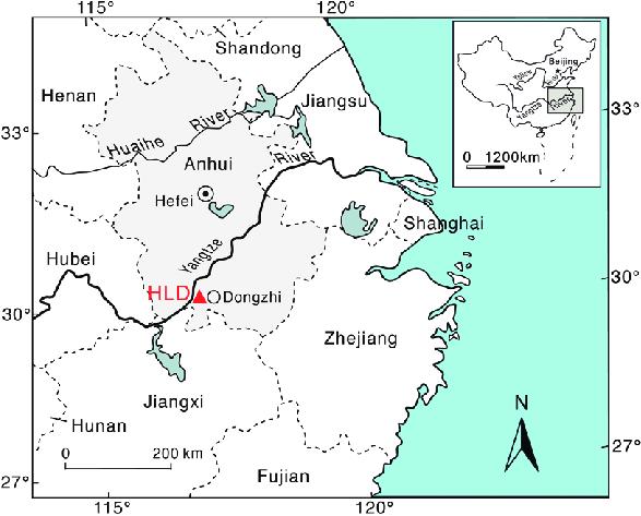 Descoperire arheologică unică: A fost găsită cea mai mică pisică din lume, cât o palmă, care a trăit acum 300.000 de ani 946396