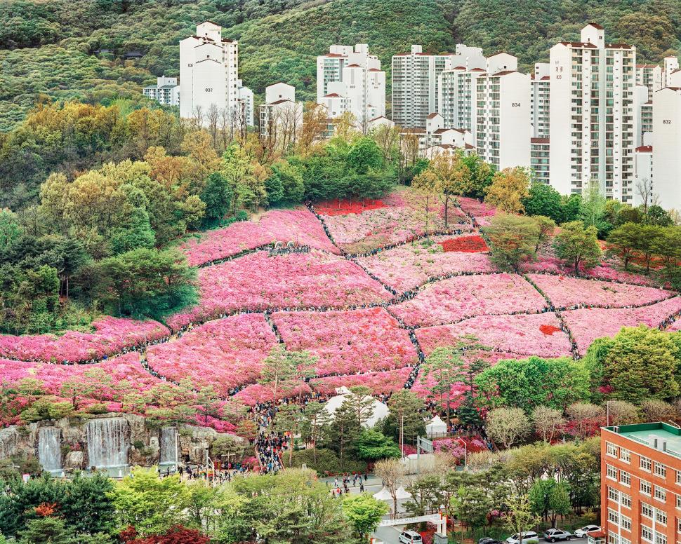 Cum arată relaxarea în țara în care oamenii sunt la serviciu toată ziua 946550