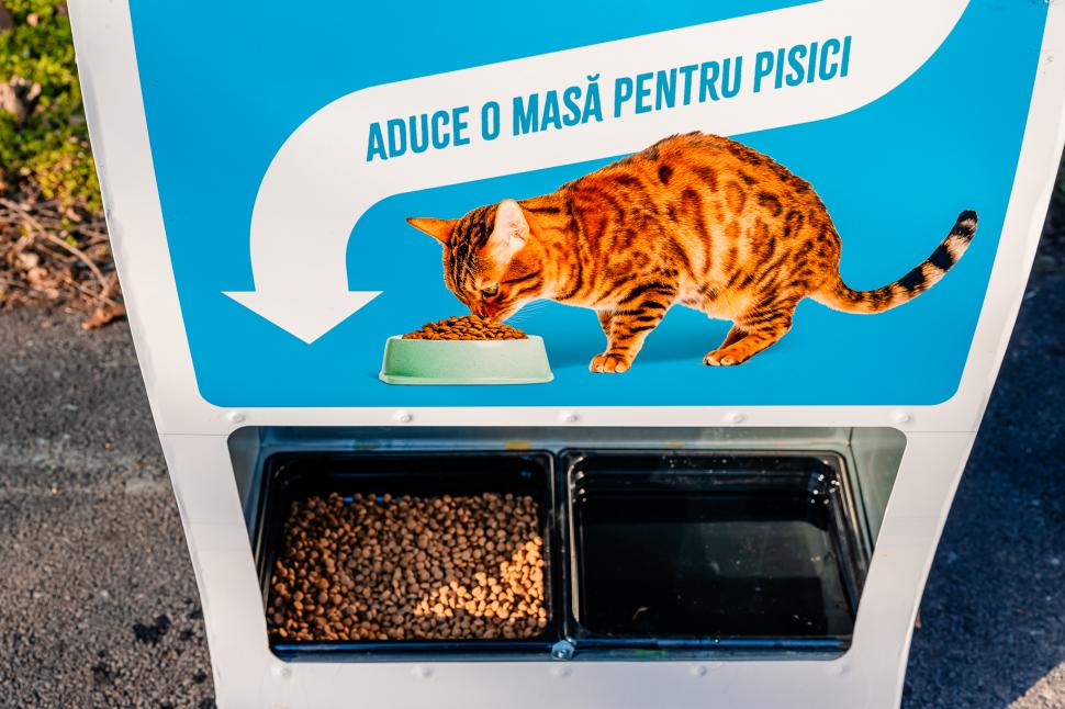 Pisicile fără stăpân din București, hrănite cu dispozitive inteligente acționate cu pet-uri. Unde au fost amplasate aparatele 946664
