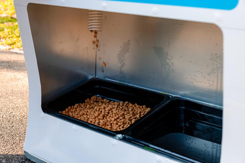 Pisicile fără stăpân din București, hrănite cu dispozitive inteligente acționate cu pet-uri. Unde au fost amplasate aparatele 946665