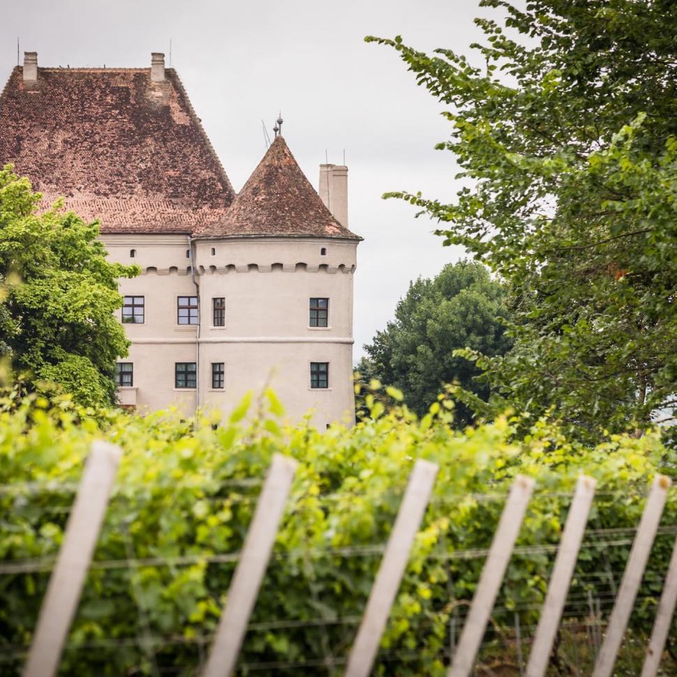 Castelul cu vinuri din România, vechi de 400 de ani, pierdut la cărți și răscumpărat. Cât costă o vizită la Bethlen-Haller  946857