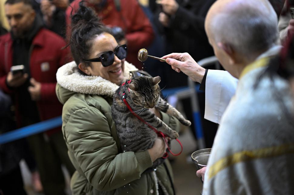 Zeci de câini, pisici, papagali şi o găină au fost binecuvântați de un preot catolic: „E o tradiție fantastică” 946968