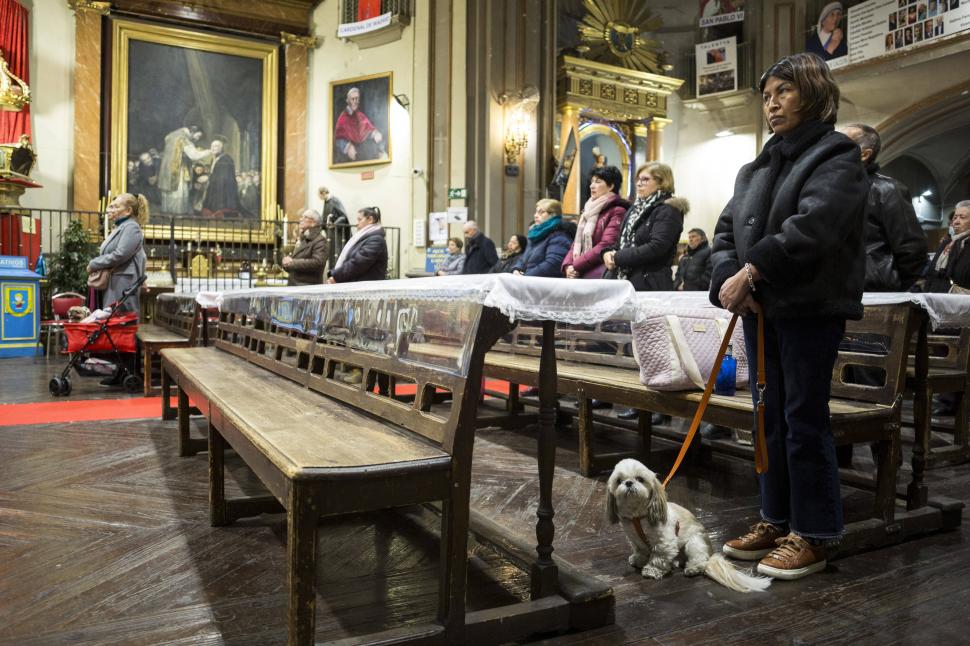 Zeci de câini, pisici, papagali şi o găină au fost binecuvântați de un preot catolic: „E o tradiție fantastică” 946972