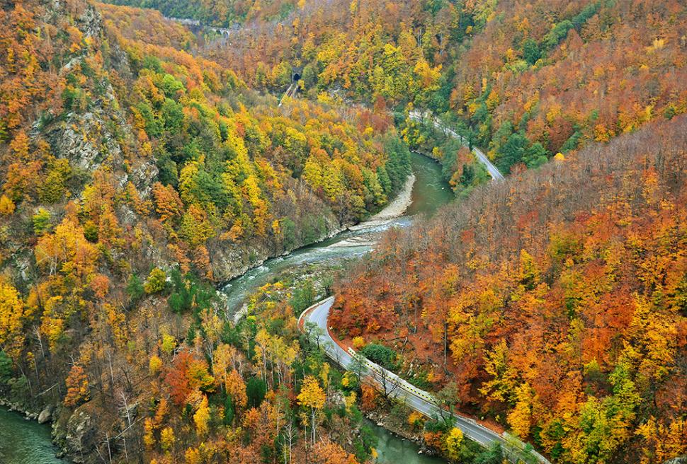 Fascinanta viață sălbatică ascunsă de Parcul Național Defileul Jiului. Cum a devenit vidra vedeta zonei 946790