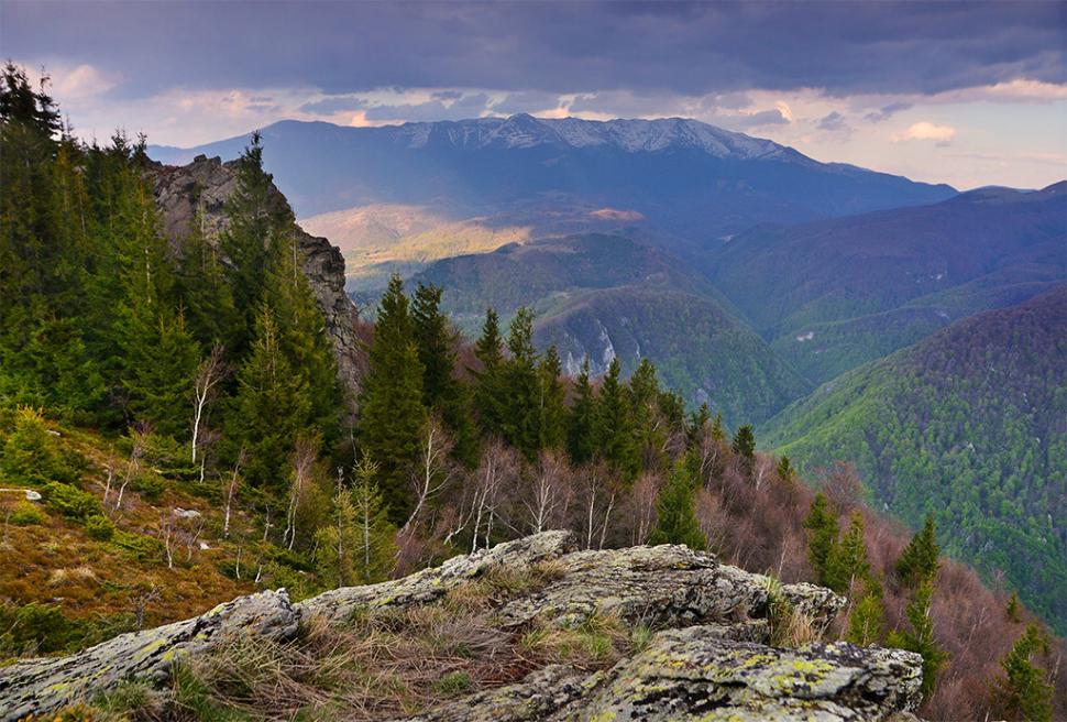 Fascinanta viață sălbatică ascunsă de Parcul Național Defileul Jiului. Cum a devenit vidra vedeta zonei 946792
