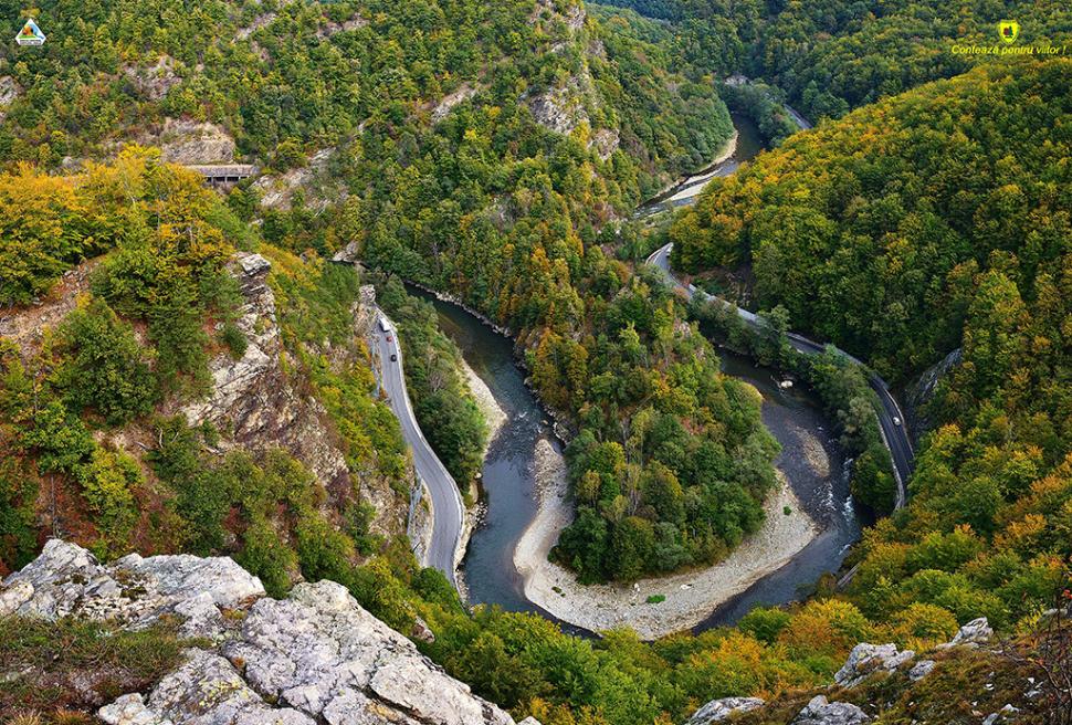 Fascinanta viață sălbatică ascunsă de Parcul Național Defileul Jiului. Cum a devenit vidra vedeta zonei 946818