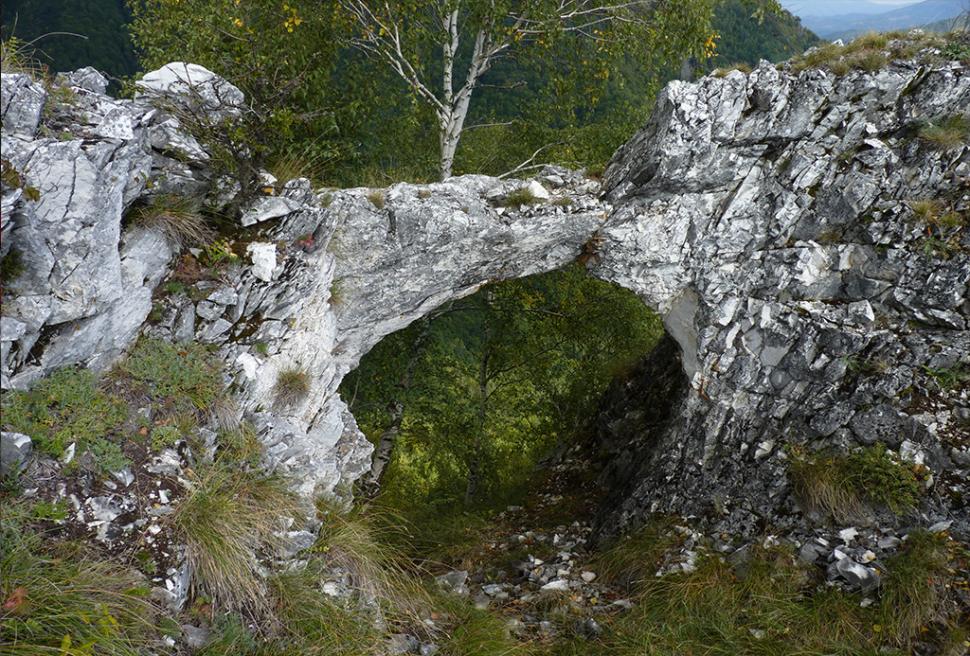 Fascinanta viață sălbatică ascunsă de Parcul Național Defileul Jiului. Cum a devenit vidra vedeta zonei 946827
