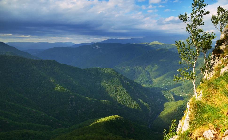 Fascinanta viață sălbatică ascunsă de Parcul Național Defileul Jiului. Cum a devenit vidra vedeta zonei 946829