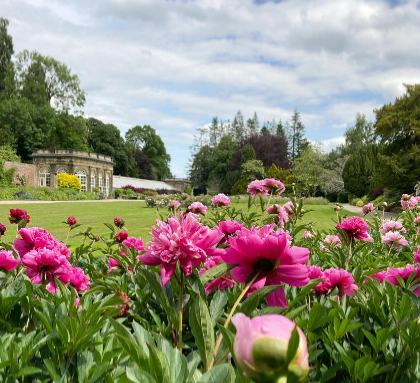 Un castel de 700 de ani e scos la vânzare. Imagini spectaculoase cu proprietatea de lux care a aparținut de generații aceleiași familii 947099