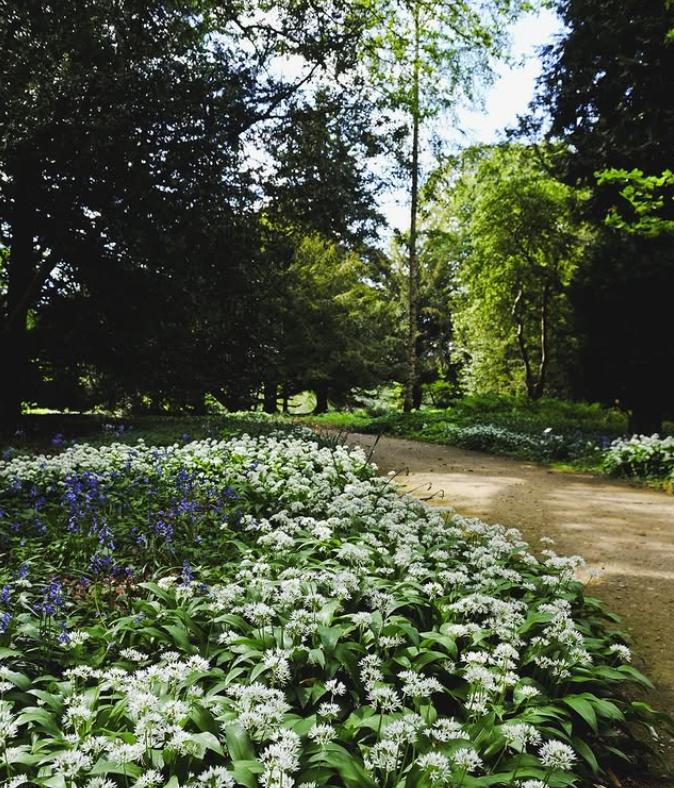 Un castel de 700 de ani e scos la vânzare. Imagini spectaculoase cu proprietatea de lux care a aparținut de generații aceleiași familii 947108