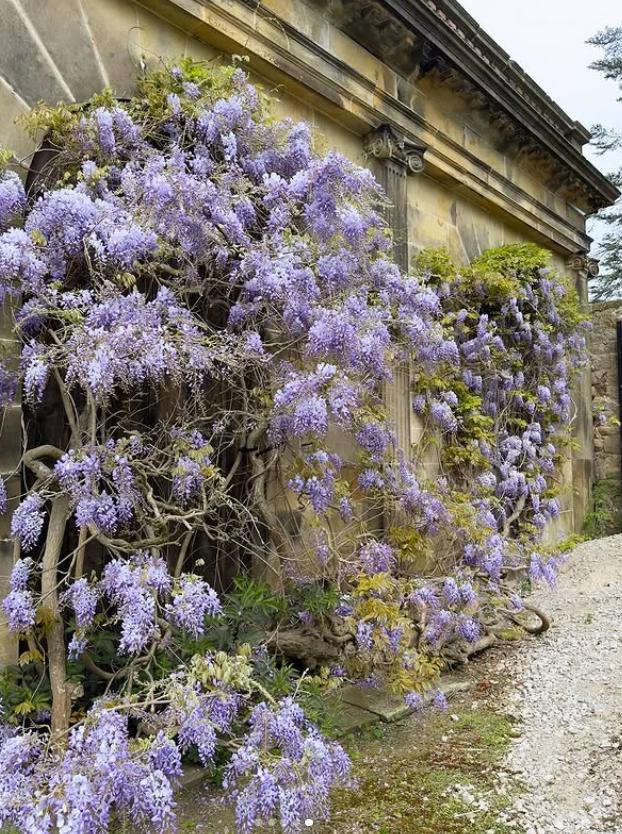 Un castel de 700 de ani e scos la vânzare. Imagini spectaculoase cu proprietatea de lux care a aparținut de generații aceleiași familii 947110