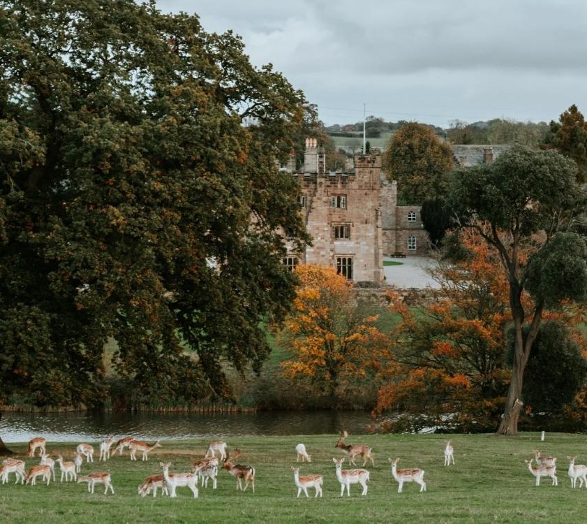 Un castel de 700 de ani e scos la vânzare. Imagini spectaculoase cu proprietatea de lux care a aparținut de generații aceleiași familii 947113