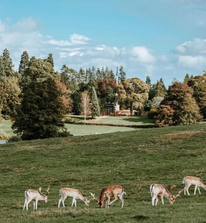 Un castel de 700 de ani e scos la vânzare. Imagini spectaculoase cu proprietatea de lux care a aparținut de generații aceleiași familii 947120