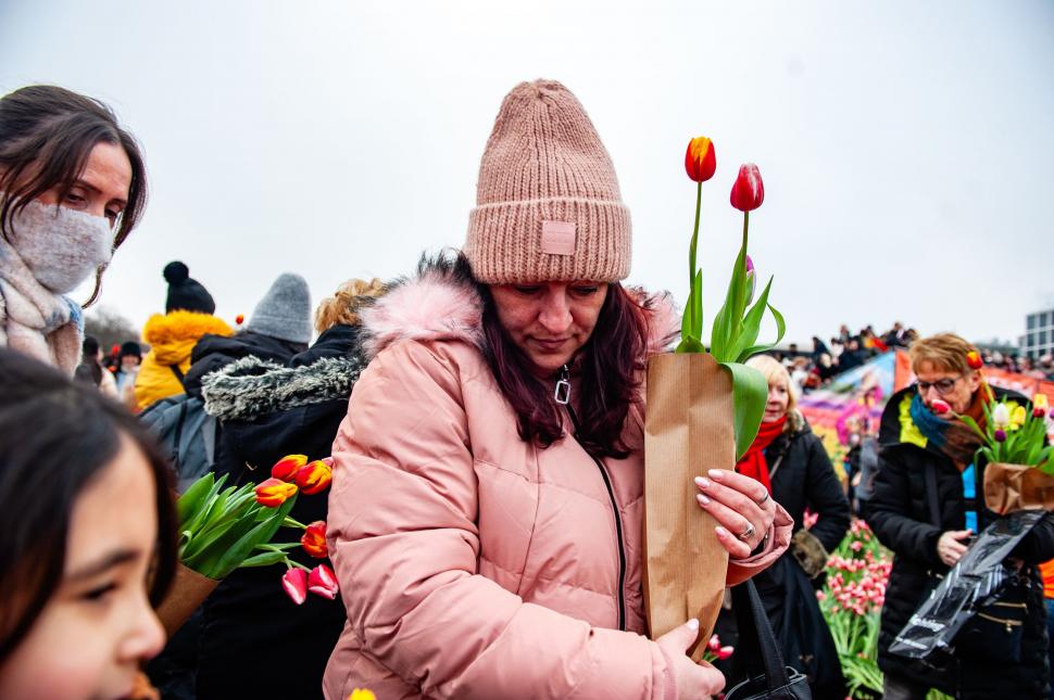Imagini cu sute de mii de flori colorate la Amsterdam: Vizitatorii au înfruntat frigul și ceața pentru Ziua Națională a Lalelei 947239