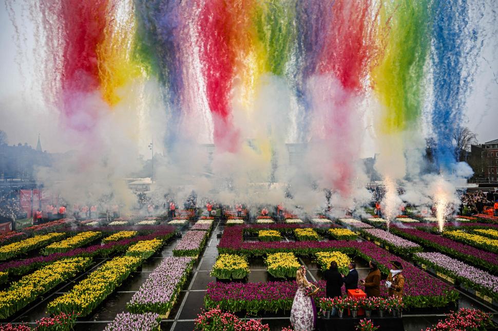 Imagini cu sute de mii de flori colorate la Amsterdam: Vizitatorii au înfruntat frigul și ceața pentru Ziua Națională a Lalelei 947245
