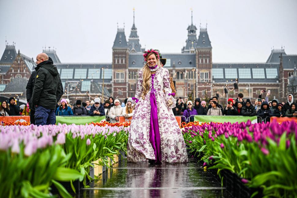 Imagini cu sute de mii de flori colorate la Amsterdam: Vizitatorii au înfruntat frigul și ceața pentru Ziua Națională a Lalelei 947246