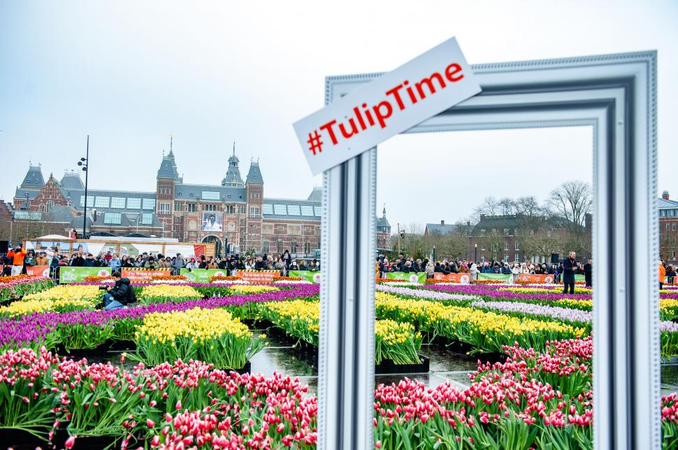 Imagini cu sute de mii de flori colorate la Amsterdam: Vizitatorii au înfruntat frigul și ceața pentru Ziua Națională a Lalelei 947249
