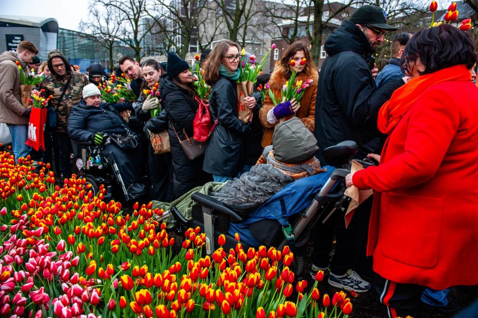 Imagini cu sute de mii de flori colorate la Amsterdam: Vizitatorii au înfruntat frigul și ceața pentru Ziua Națională a Lalelei 947250
