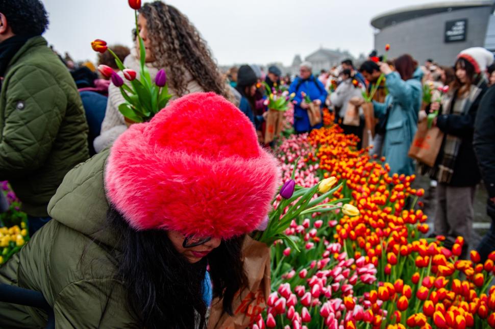 Imagini cu sute de mii de flori colorate la Amsterdam: Vizitatorii au înfruntat frigul și ceața pentru Ziua Națională a Lalelei 947251