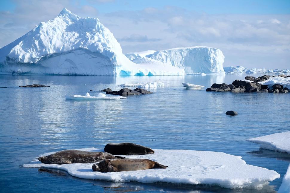 Se caută bucătari, tâmplari, electricieni sau instalatori pentru Antarctica. Salariul anual și alte beneficii 947300