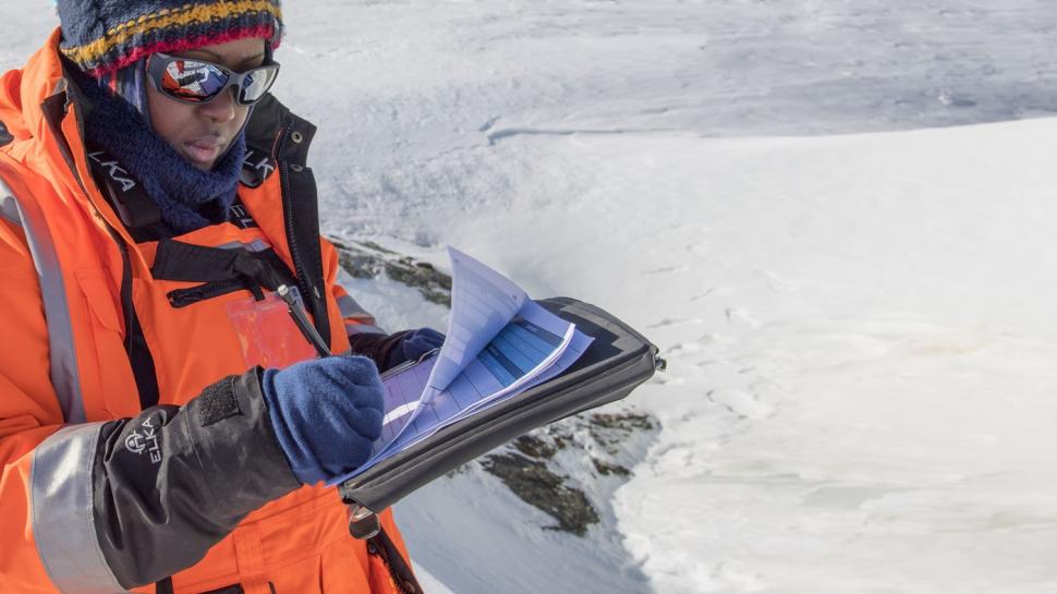 Se caută bucătari, tâmplari, electricieni sau instalatori pentru Antarctica. Salariul anual și alte beneficii 947306