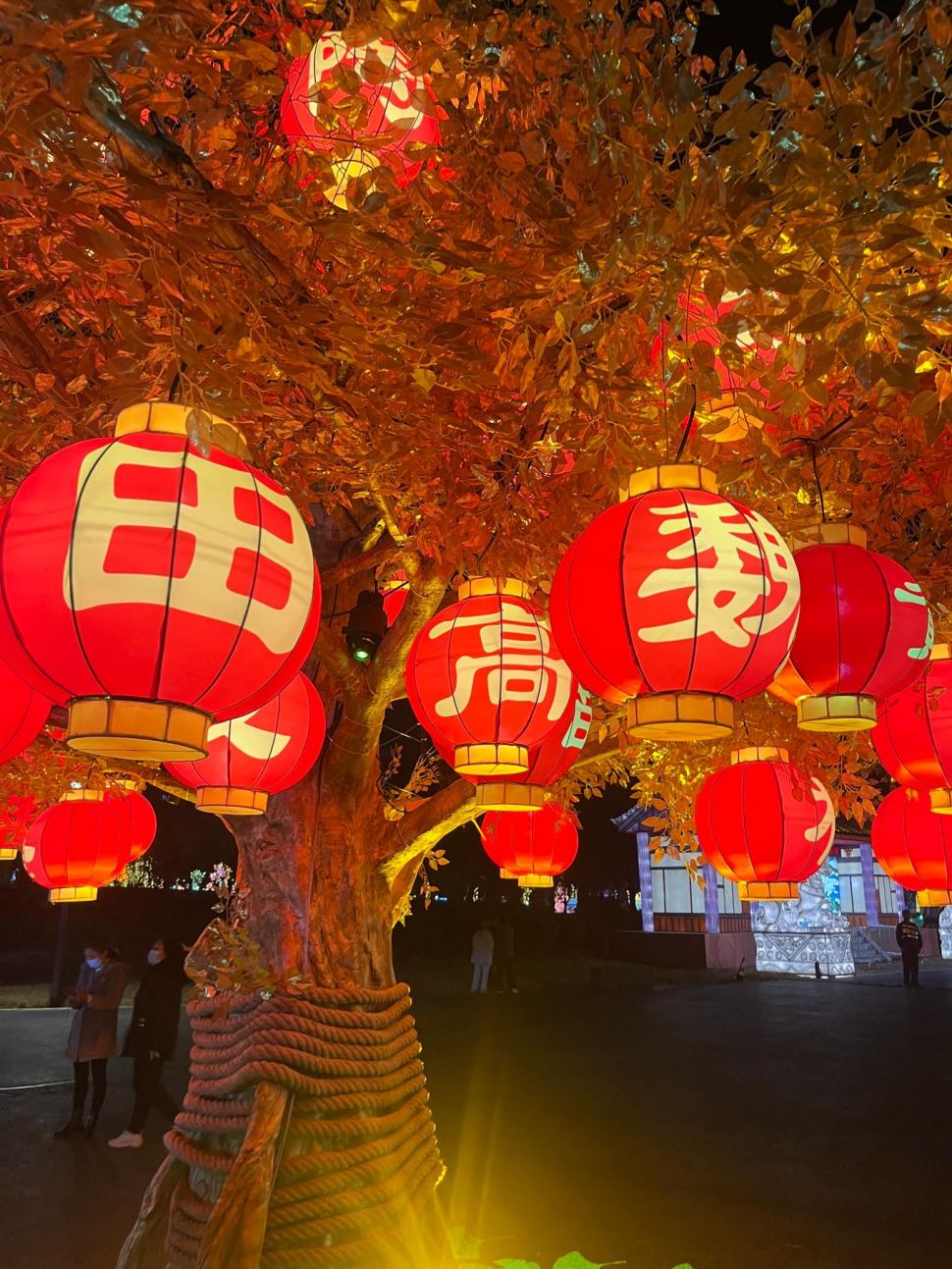 Spectacol nocturn, la un festival al lampioanelor din China, înainte de Anul Nou Lunar. Când începe Anul Şarpelui 947683