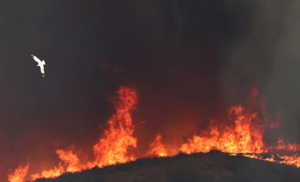 Un nou incendiu a izbucnit la nord de Los Angeles: „Hughes Fire” este alimentat de vânturile Santa Ana, s-au emis ordine de evacuare 947869