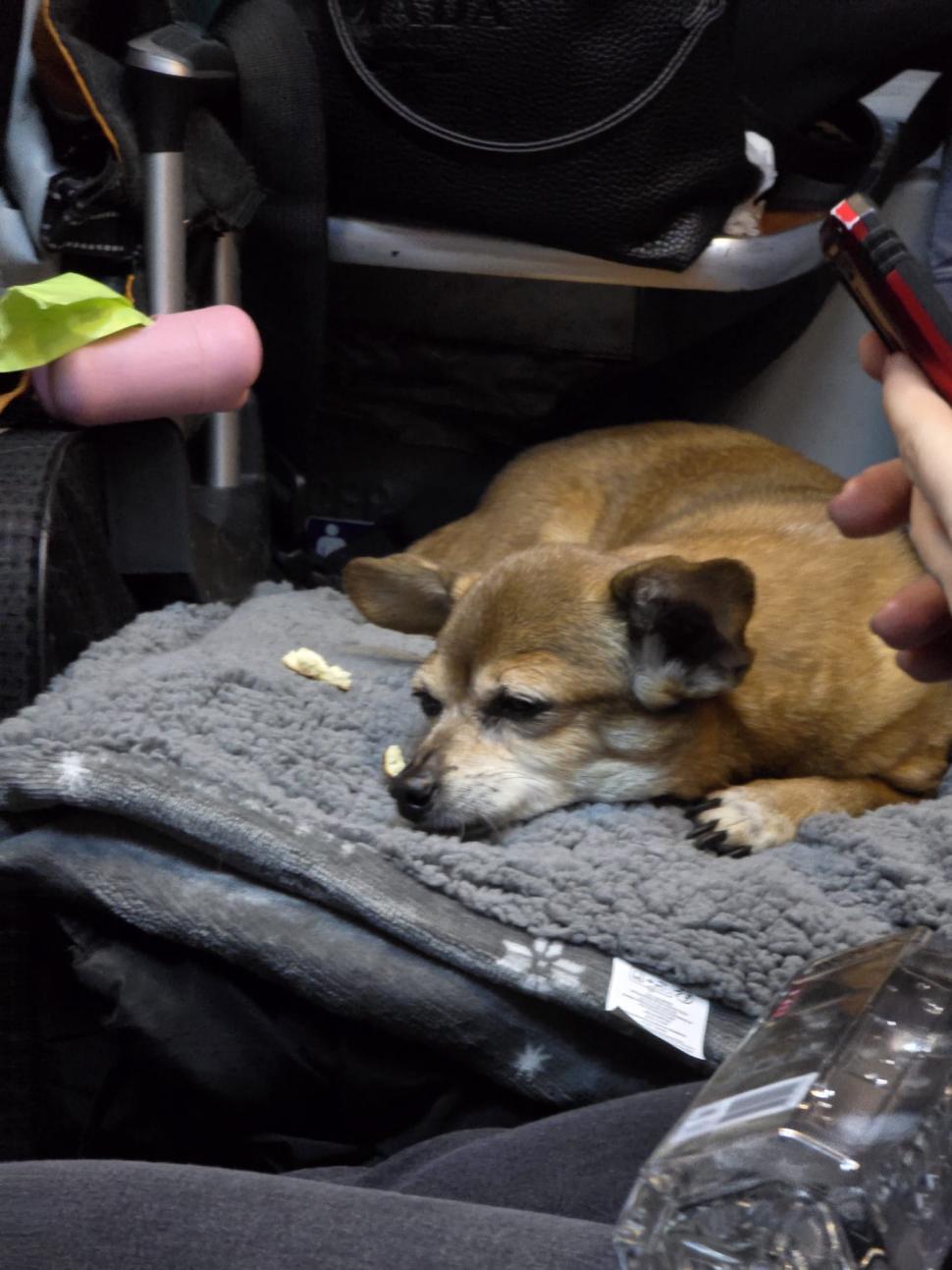 Cum a fost în Trenul Unirii care a plecat din Bucureşti şi a ajuns cu întârziere la Iaşi, din cauza veseliei de la Bârlad şi Vaslui 948200