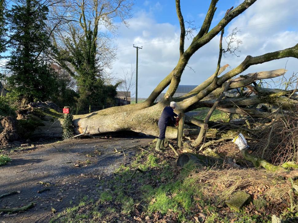 Furtuna Eowyn a făcut prăpăd în Irlanda: zboruri anulate, școli închise și rafale de vânt de aproape 200 km/h 948247