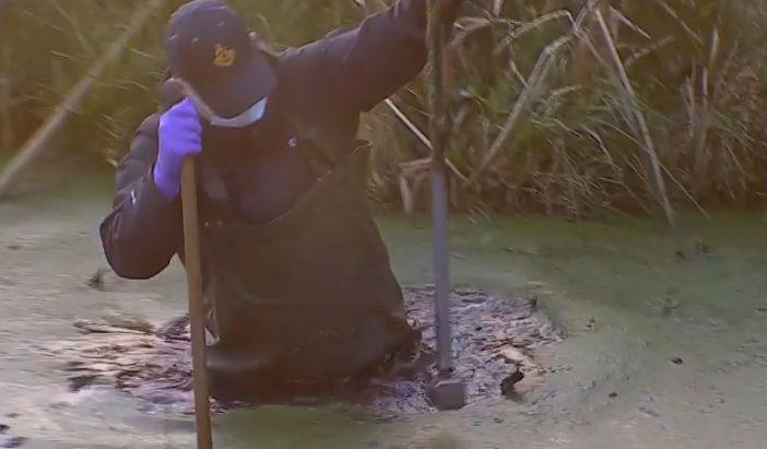 A fost găsit barosul cu care hoții tezaurului dacic au dat spargerea la muzeul Drents. Criminaliștii au intrat în mlaștină după el 948579